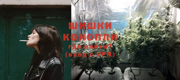 шишки Вяземский