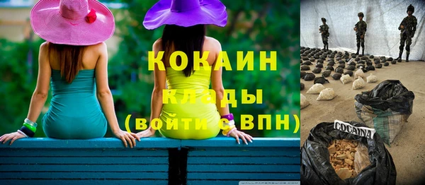 шишки Вяземский
