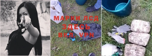сатива Горнозаводск
