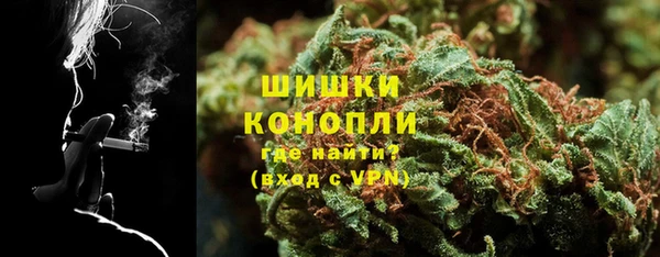шишки Вяземский