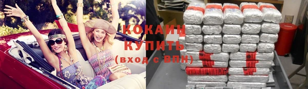 шишки Вяземский